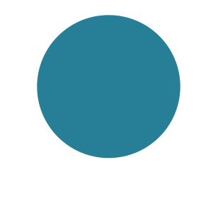 カラー27